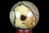 Polished Septarian Sphere - Madagascar #71550-1